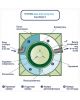 Гринлос Аква 8 Пр Супер Лонг - фото 5