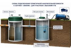 Спарта 600 Eco